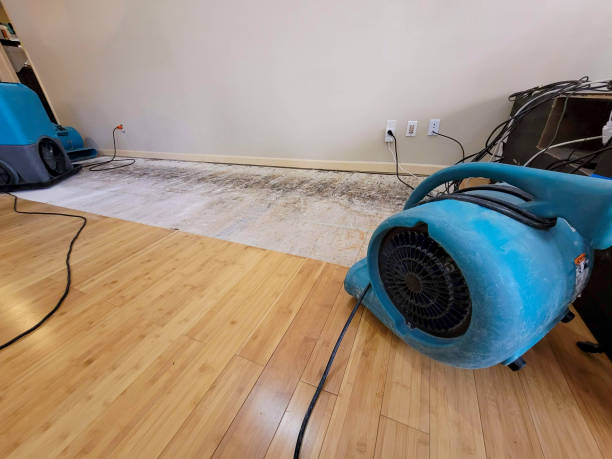 Professional Structural Drying technician working in Clifton, IL